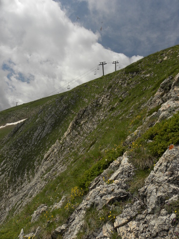sp. from Popova Shapka