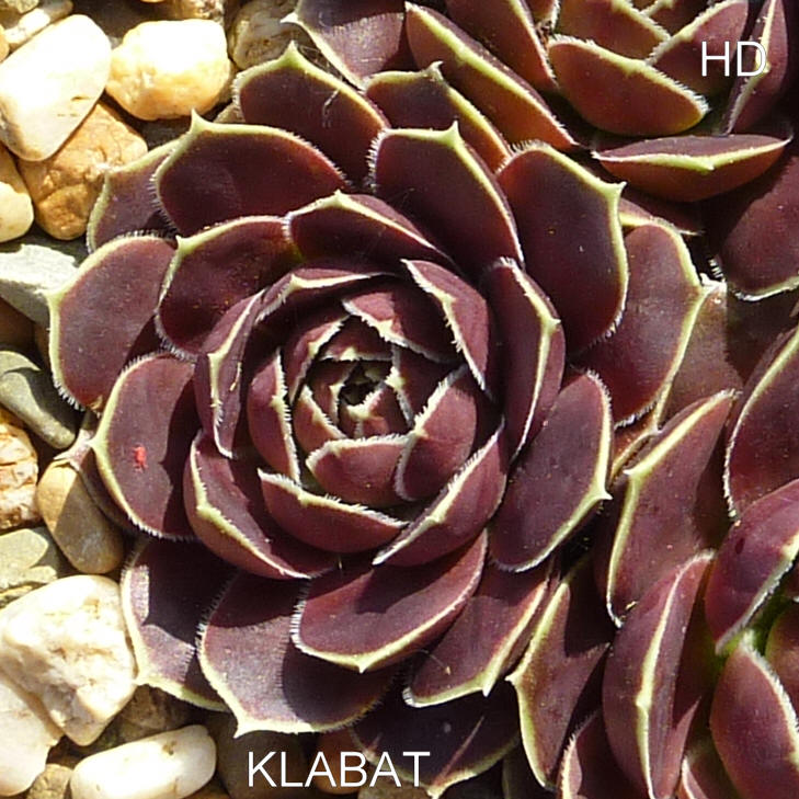 Klabat / Jovi