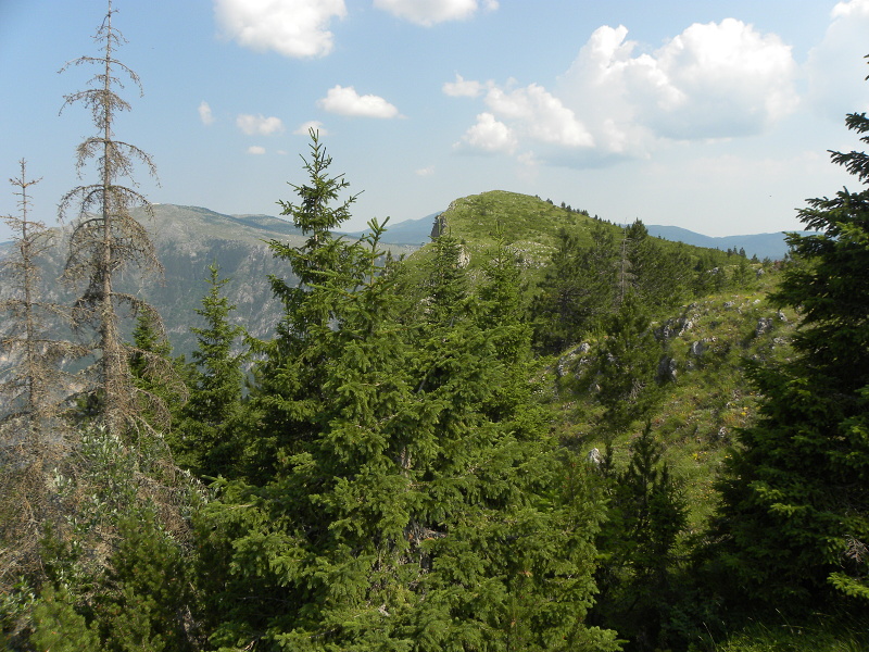 marmoreum from Ćurovac, S Abhang