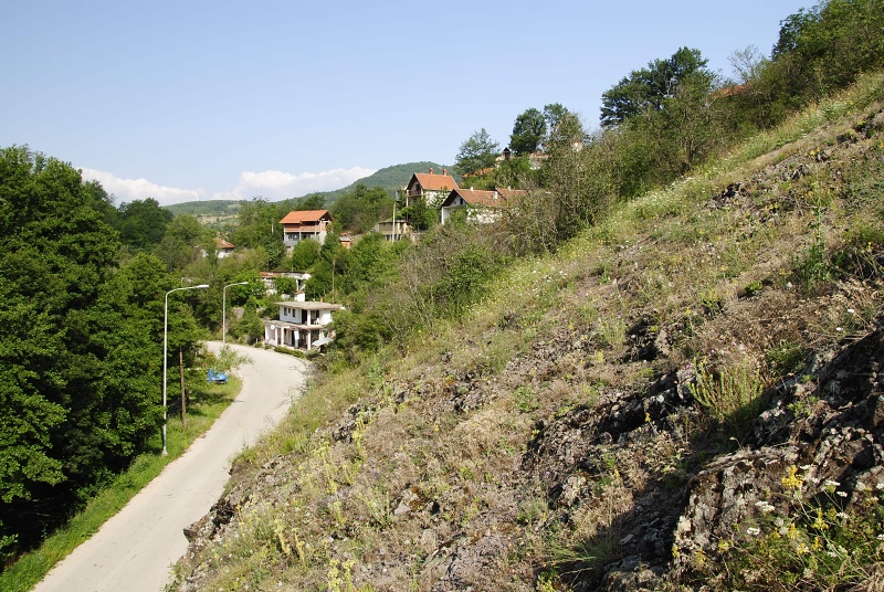 zeleborii from Prolom Banja, Mitte