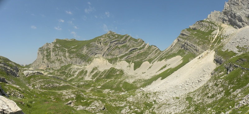 marmoreum ssp. marmoreum from Bobotov Kuk, Abhang