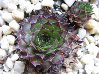 Maria Laach
