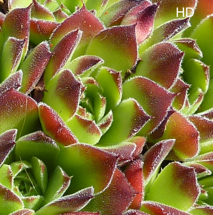 Astelarra / Jovi
