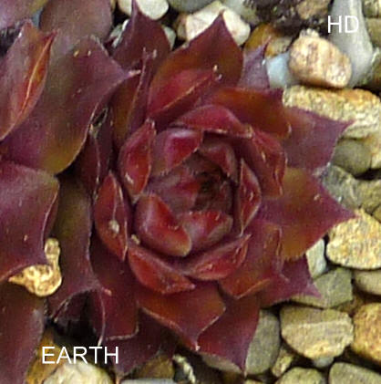 Earth