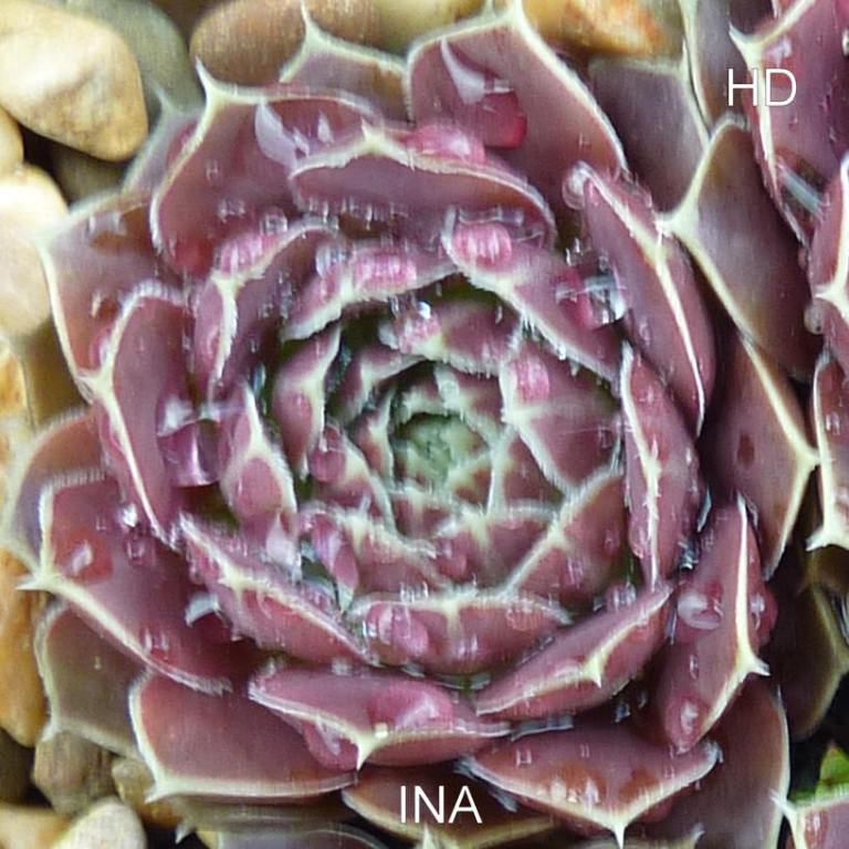 Ina / Jovi