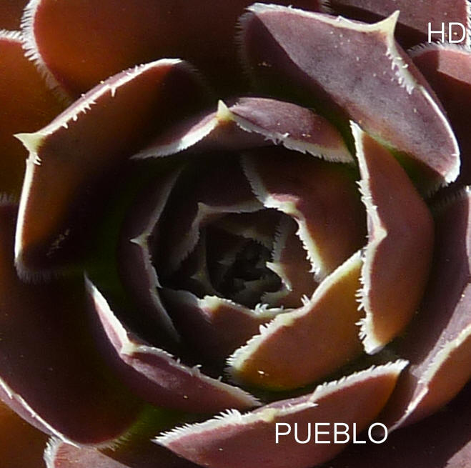 Pueblo / Jovi