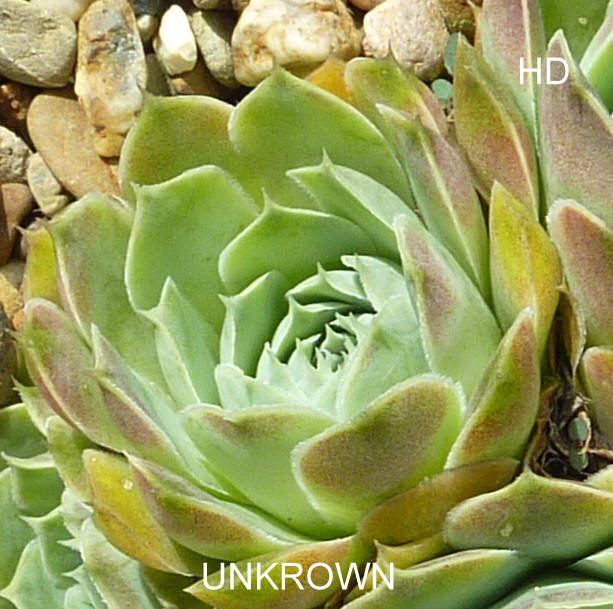 Unkrown / Jovi