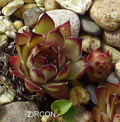 Zircon