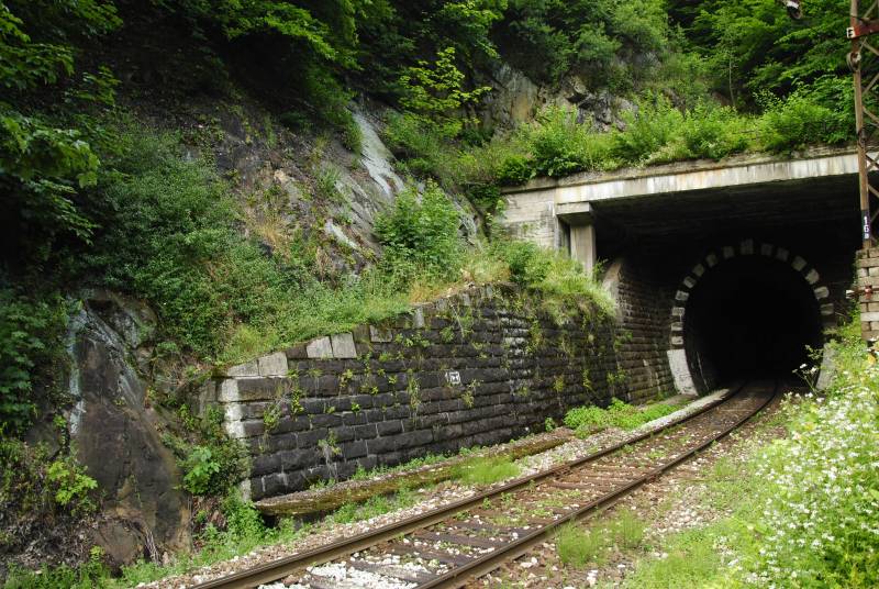 montanum ssp. heterophyllum from Kraľovany, Tunnel