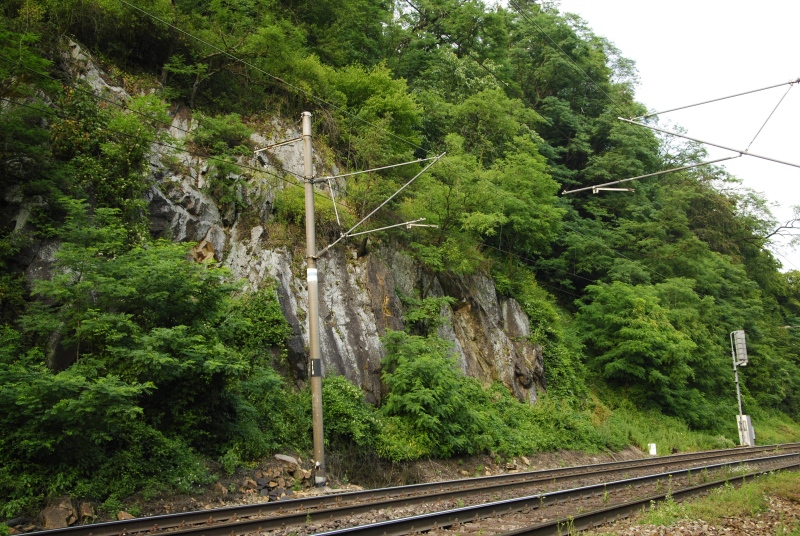 montanum ssp. heterophyllum from Kraľovany, Zusammenfluss