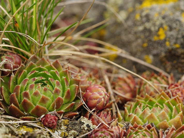 Reisebericht: Těšetice, südlich