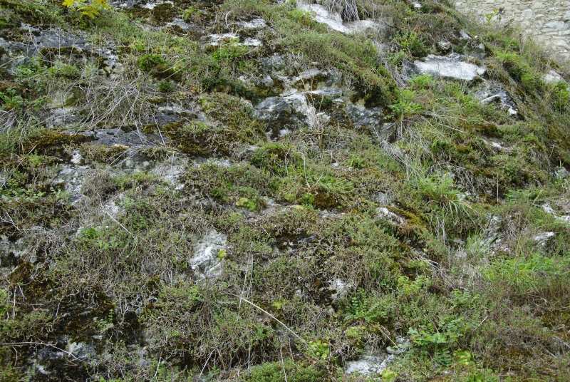 Naturstandort