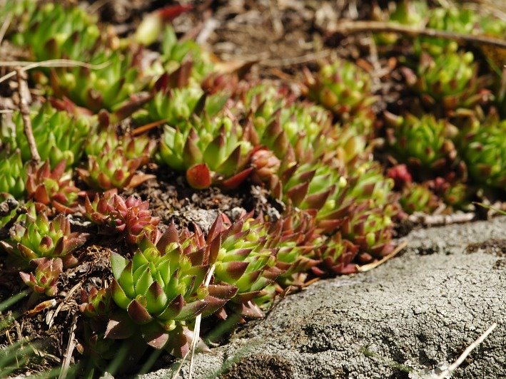Reisebericht: Sladná skala