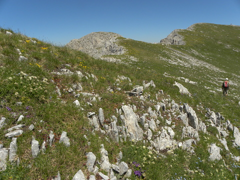 Reisebericht: Bavan