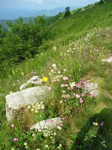 Reisebericht: Zvolen