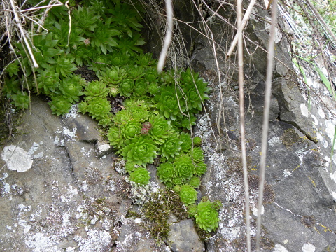 Reisebericht: Špičák bei Mezí