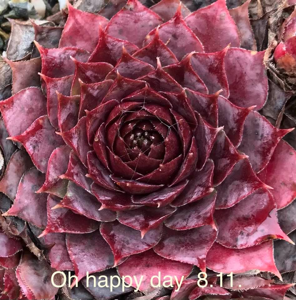 Oh happy Day