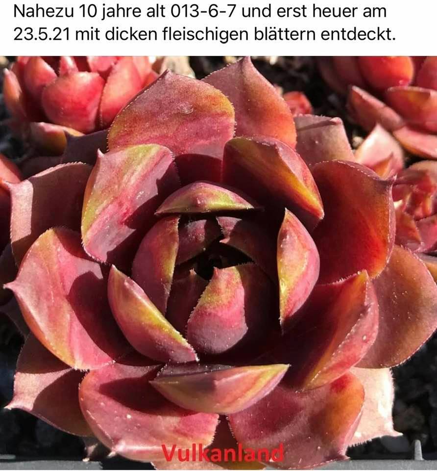 Vulkanland