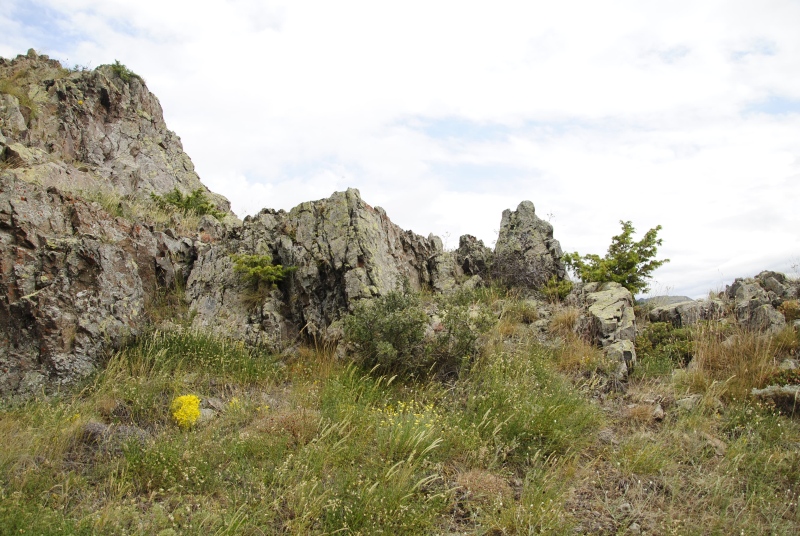 sp. from W von der Festung bei Gümüshane
