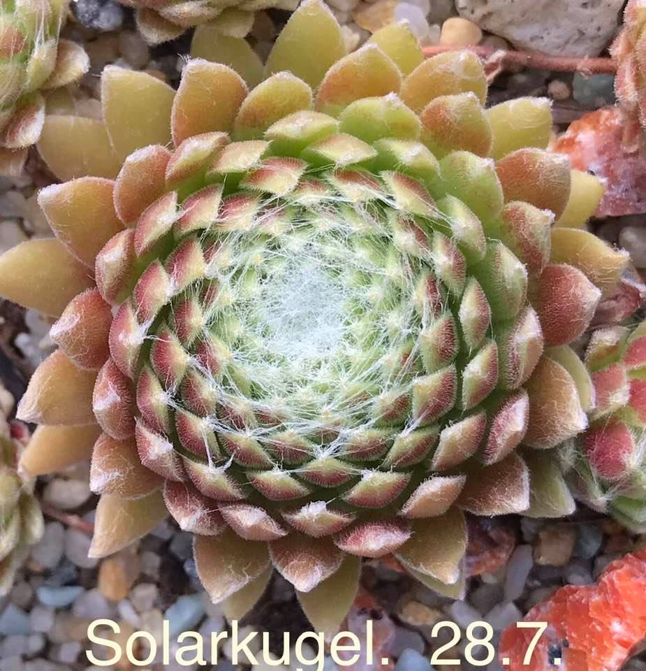 Solarkugel