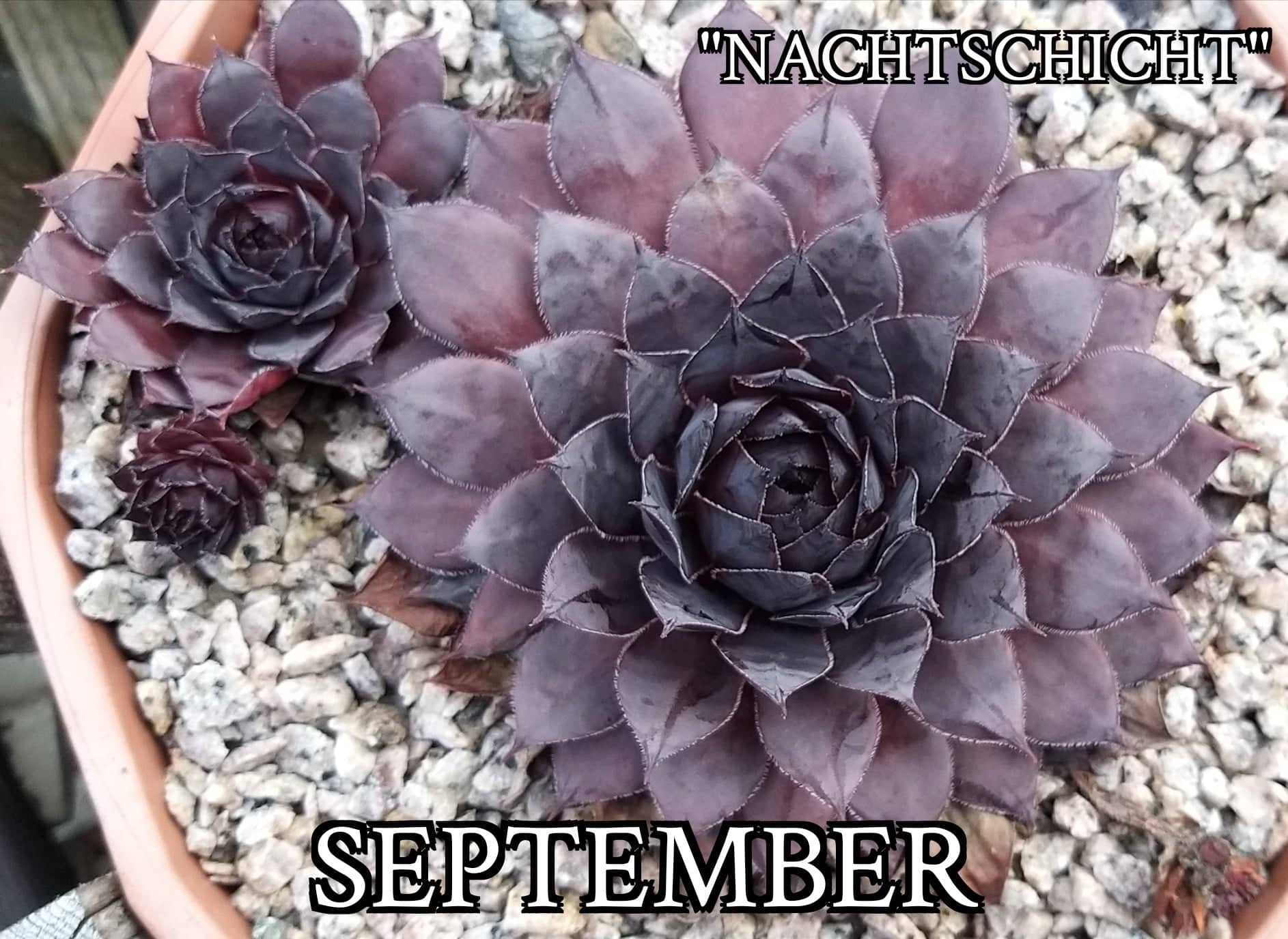 Nachtschicht