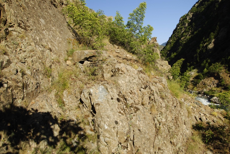 herfriedianum x S. staintonii from Sarigöl, 3 km NW