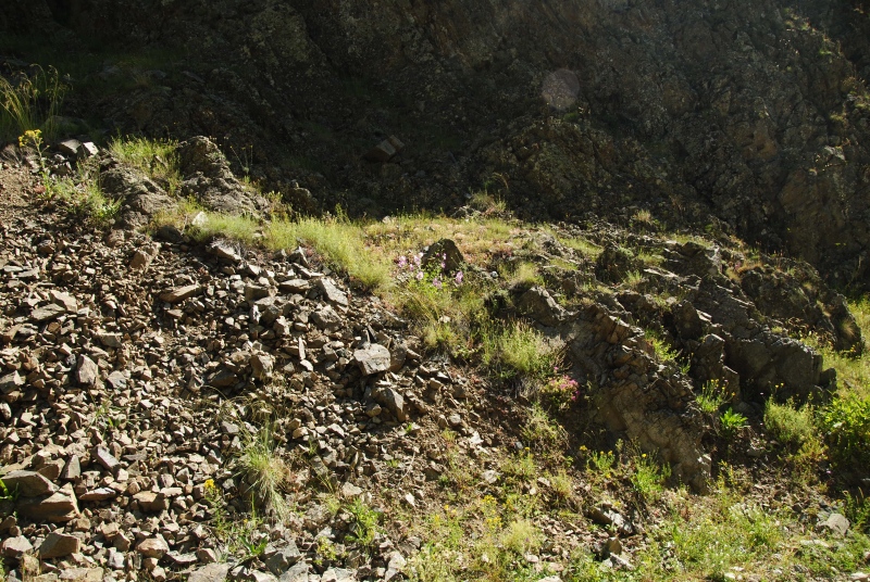 artvinense from Yaylalar, 4 km O