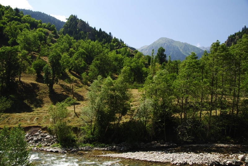 herfriedianum from Yaylalar, 7 km NO