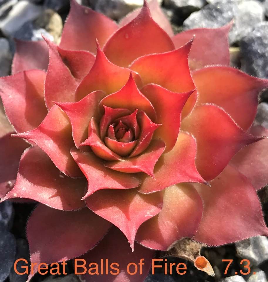 Great Balls of Fire