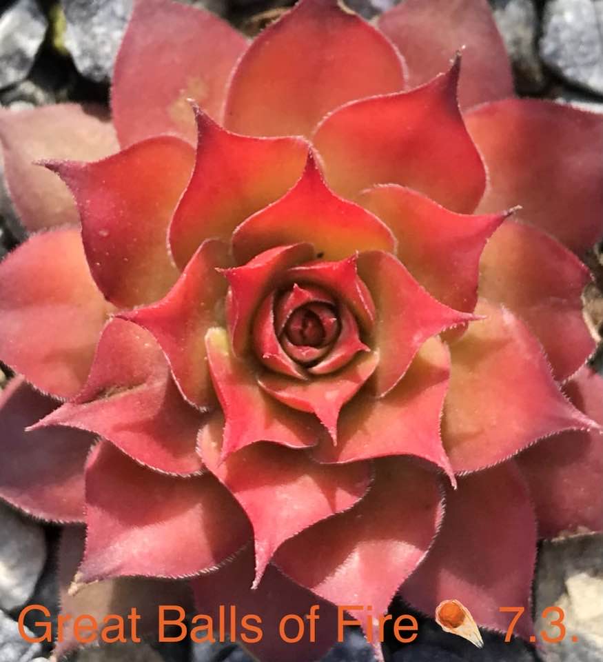 Great Balls of Fire