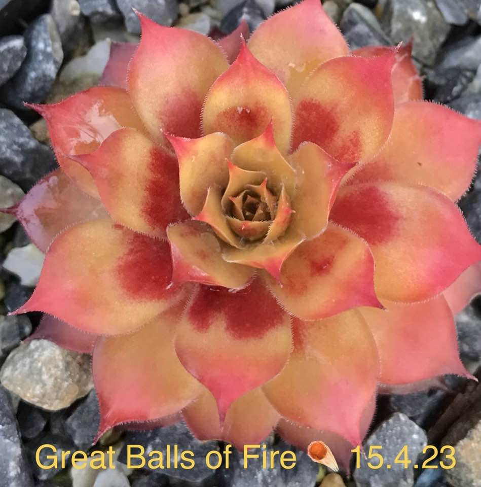 Great Balls of Fire