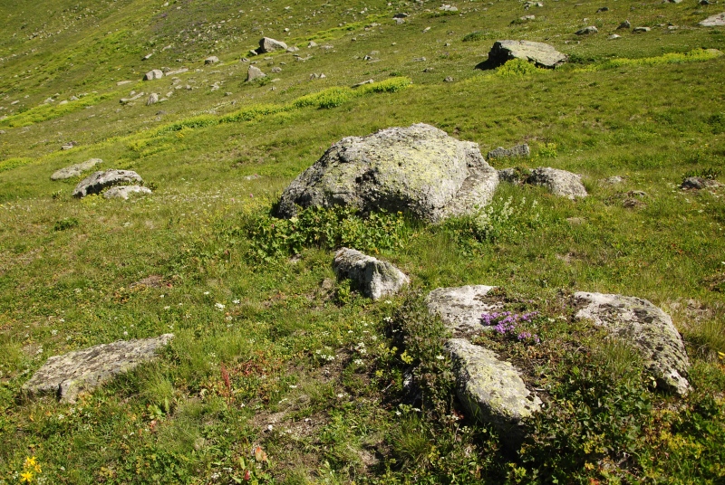 ekimii from Yukari Kavrun, 1km O