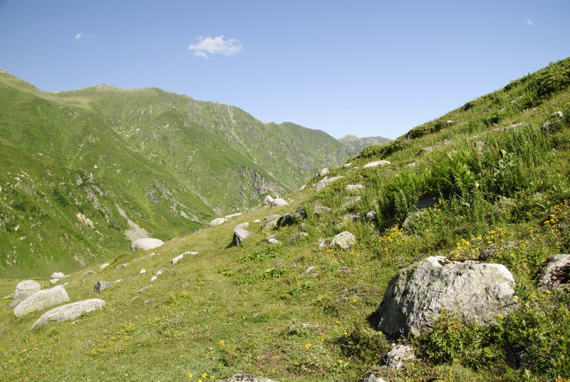 sp. from Yukari Kavrun, 0,4km O