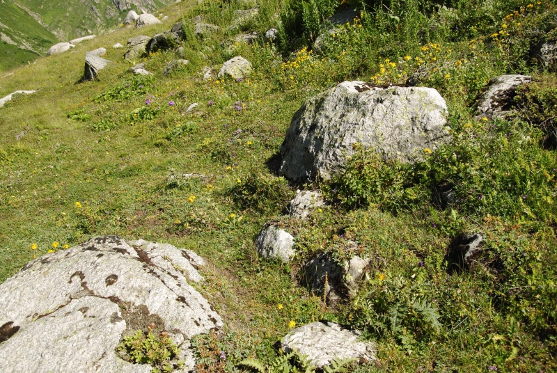 sp. from Yukari Kavrun, 0,4km O