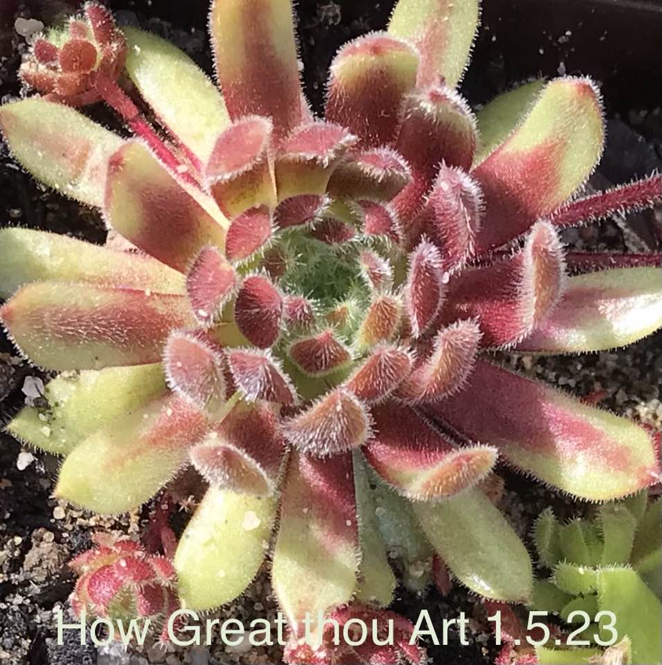 How Great thou Art
