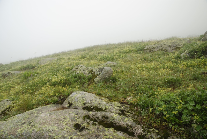 sp. from Yukari Kavrun, 1,5km S