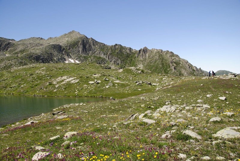 ekimii from Büyükdeniz Gölu