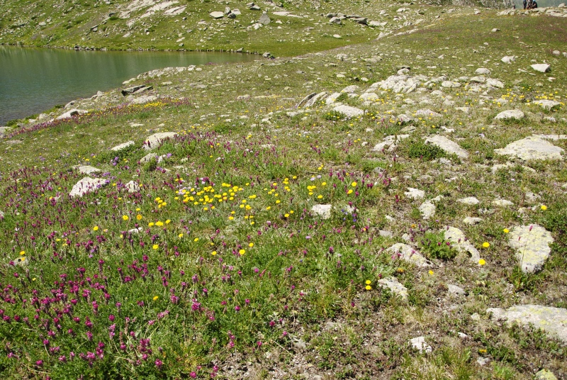 ekimii from Büyükdeniz Gölu