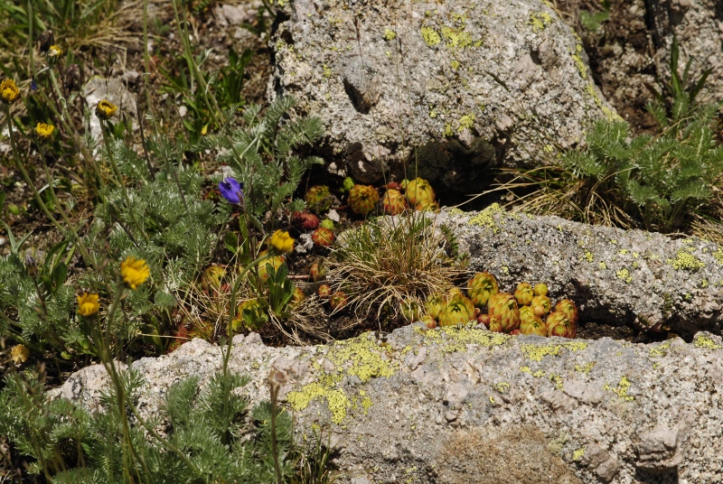ekimii from Büyükdeniz Gölu