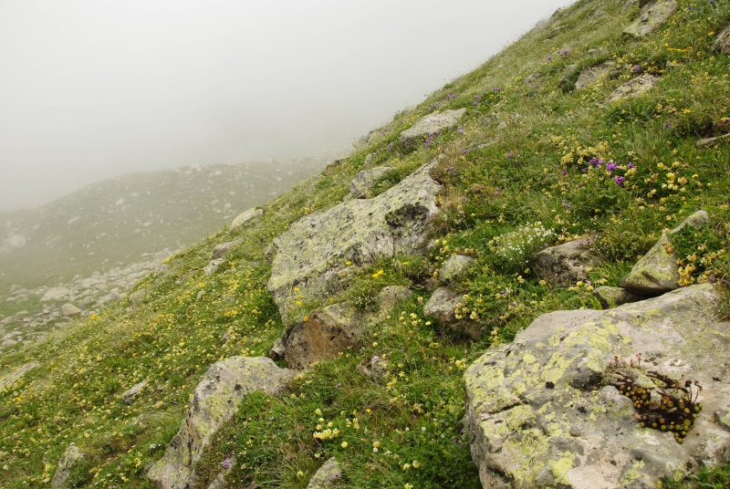 ekimii from Mecovit Gölü, 0,5 km N