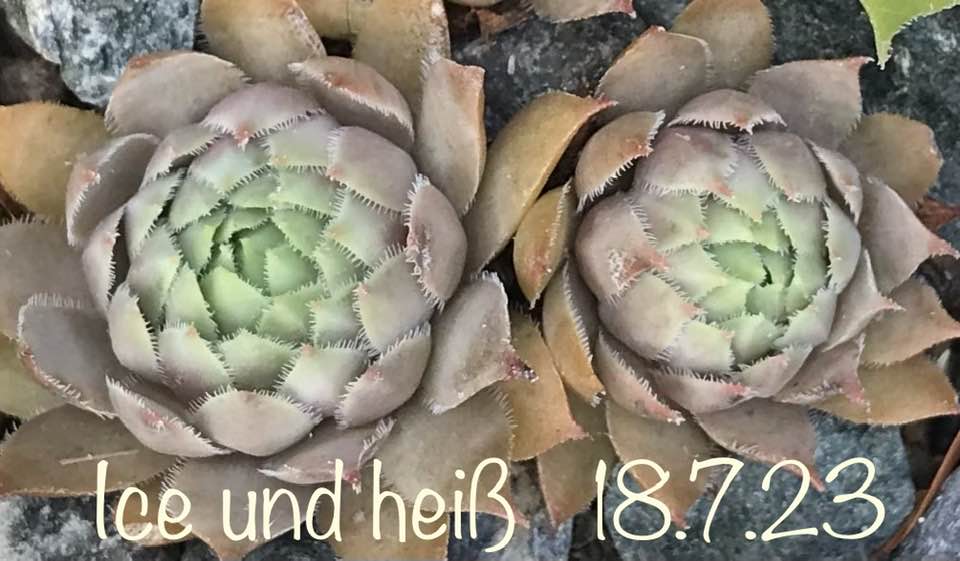 Ice und heiß