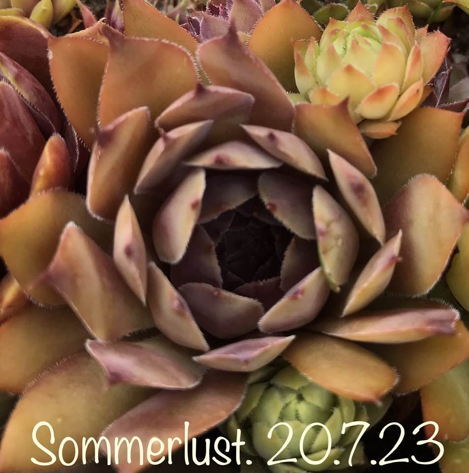 Sommerlust