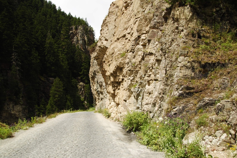 furseorum cf. from Arpaözü, 4 km SW