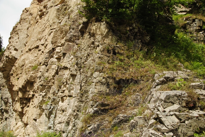 furseorum cf. from Arpaözü, 4 km SW