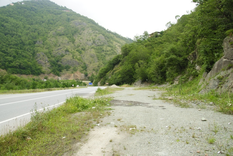 furseorum cf. from Caykara, 4 km S