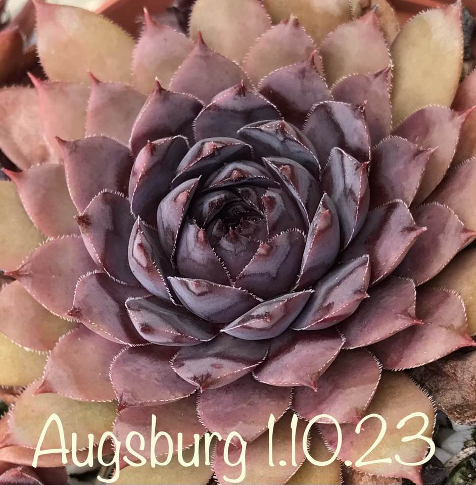 Augsburg