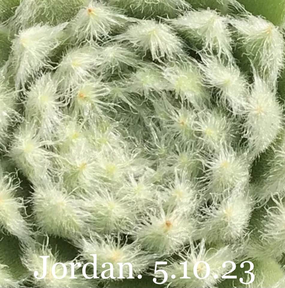 Jordanien