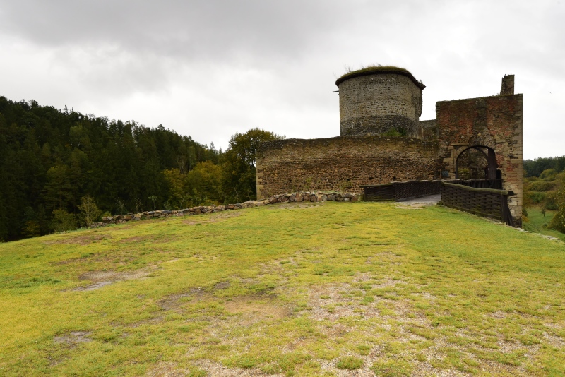 globiferum ssp. globiferum from Krakovec, Burg