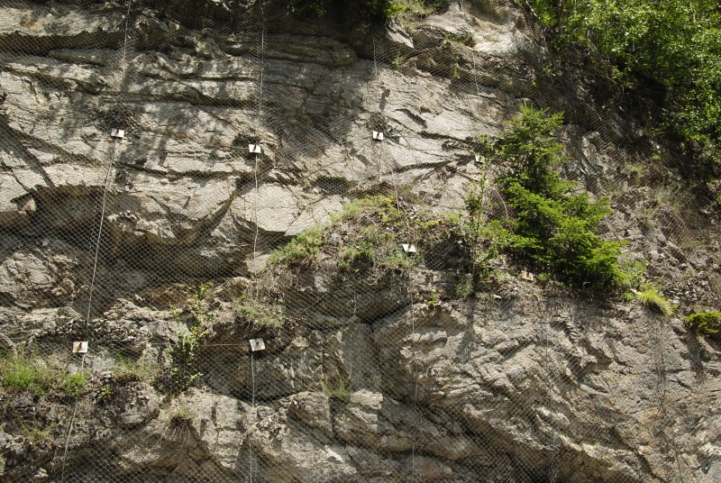 globiferum ssp. arenarium from Gebreite