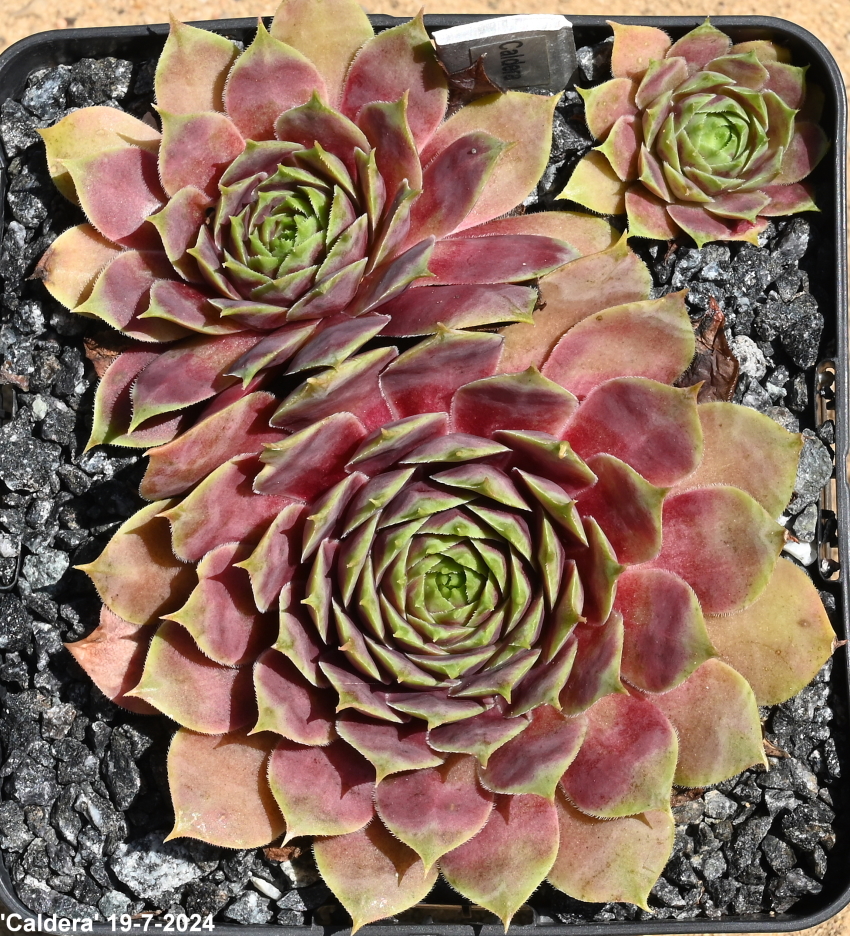 Caldera